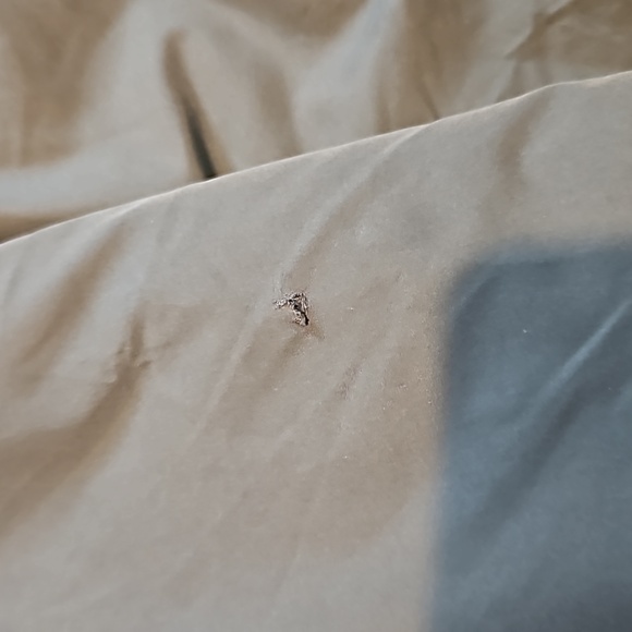 Jacket‎ - Picture 2 of 6